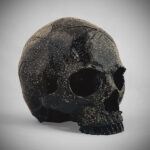 GLITTER BLACK Skull