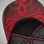 Casquette BLOOD & BONES